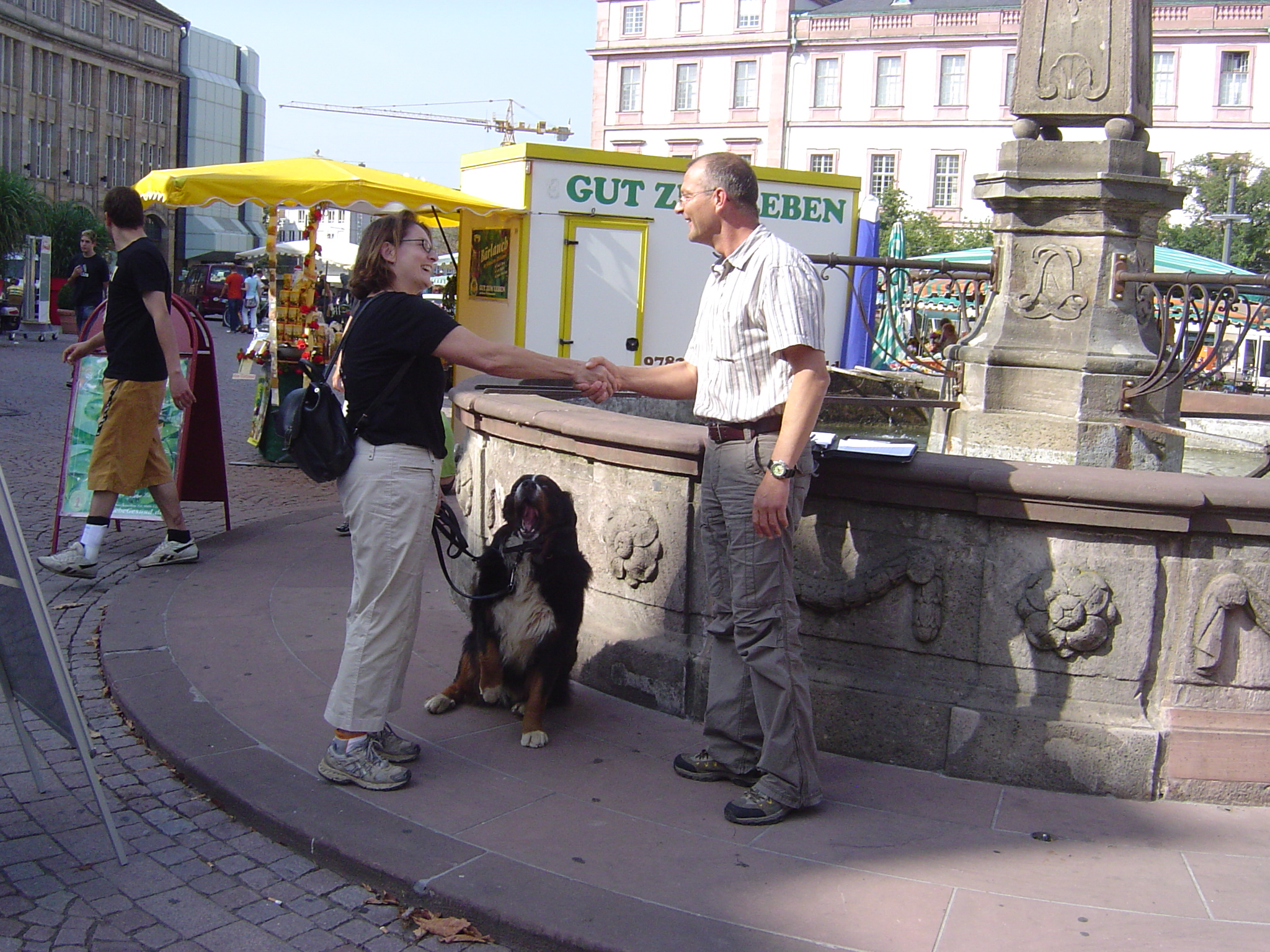 MenschHundTeamPrüfung › HundeAkademie Perdita Lübbe